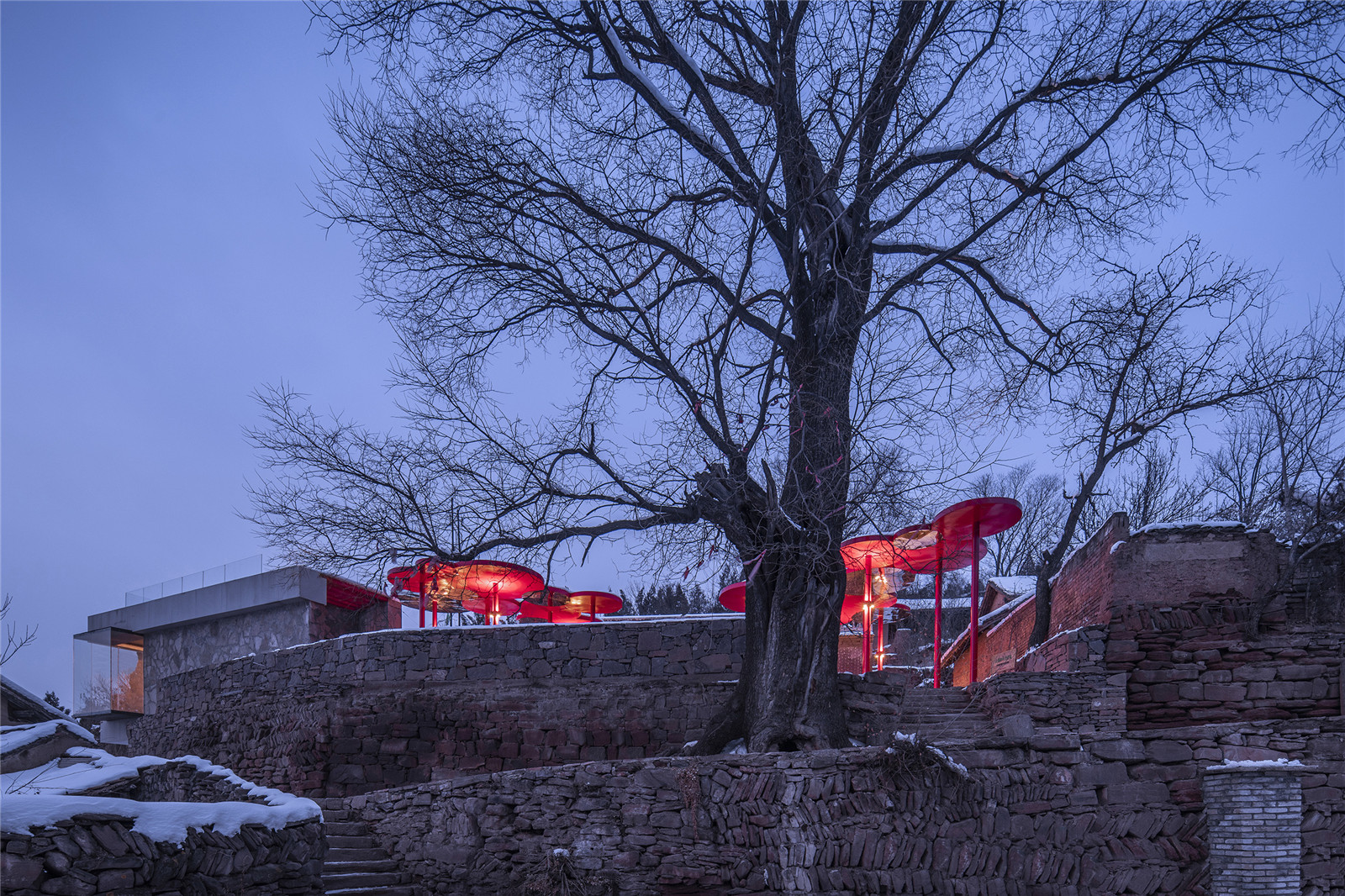 大槐树和新元素 Big locust tree and new elements.jpg