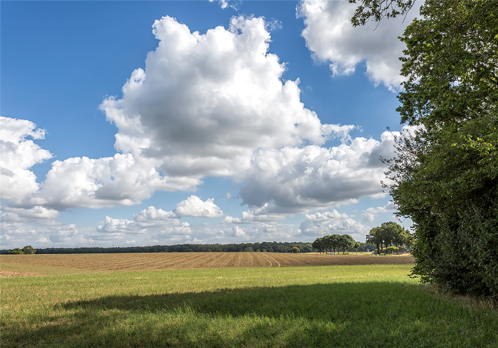 the high ground dike merges in the landscape and is used for arable farming copy.jpg