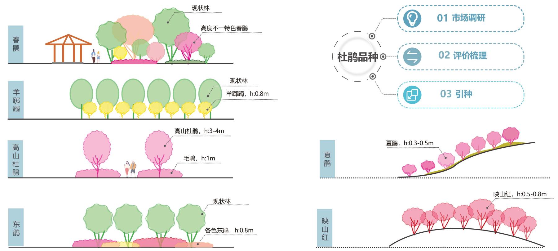 图6合理搭配种植各种杜鹃(1).jpg