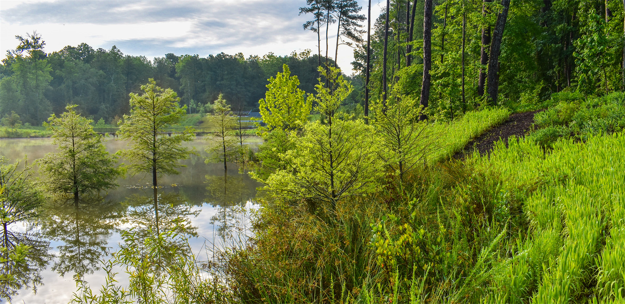 Duke University Water Reclamation Pond (10).jpg