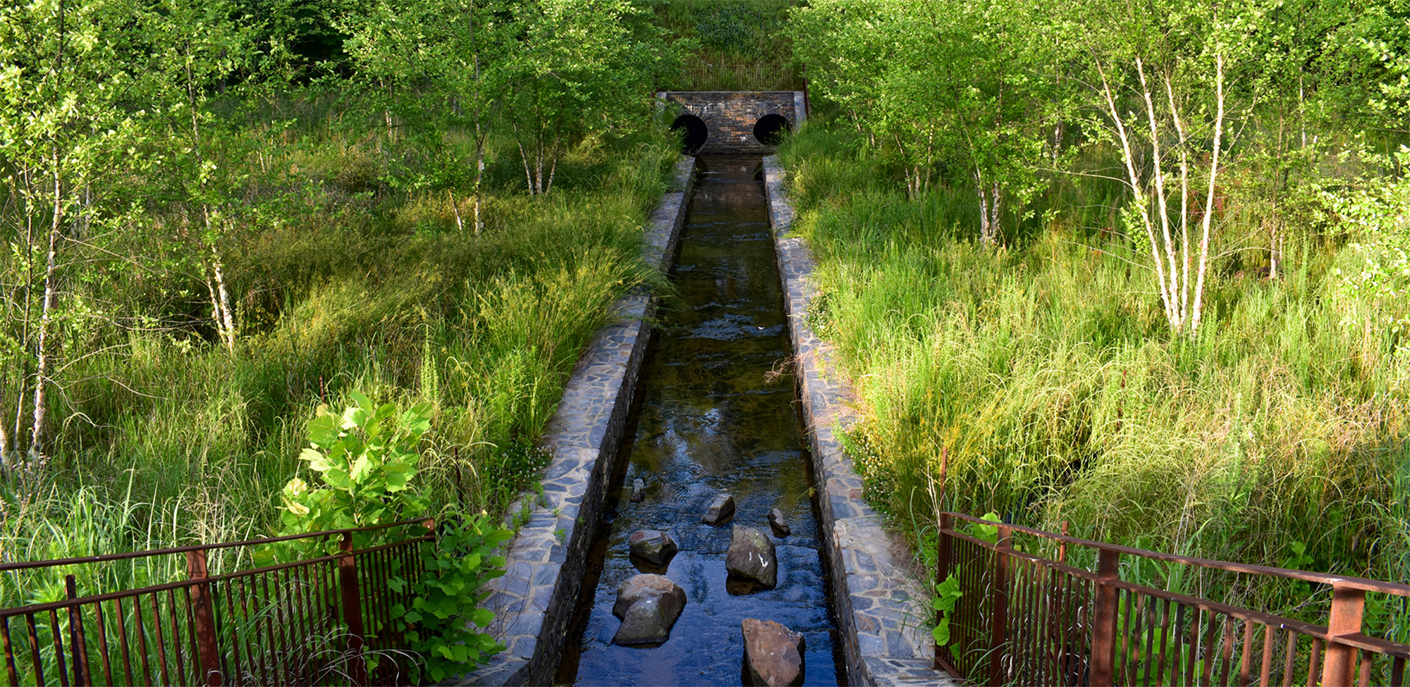 Duke University Water Reclamation Pond (6).jpg