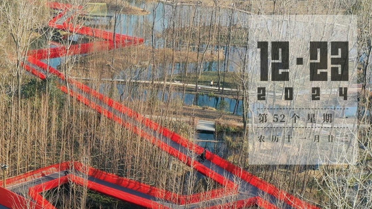 第52个星期一 | 树冠蹦床