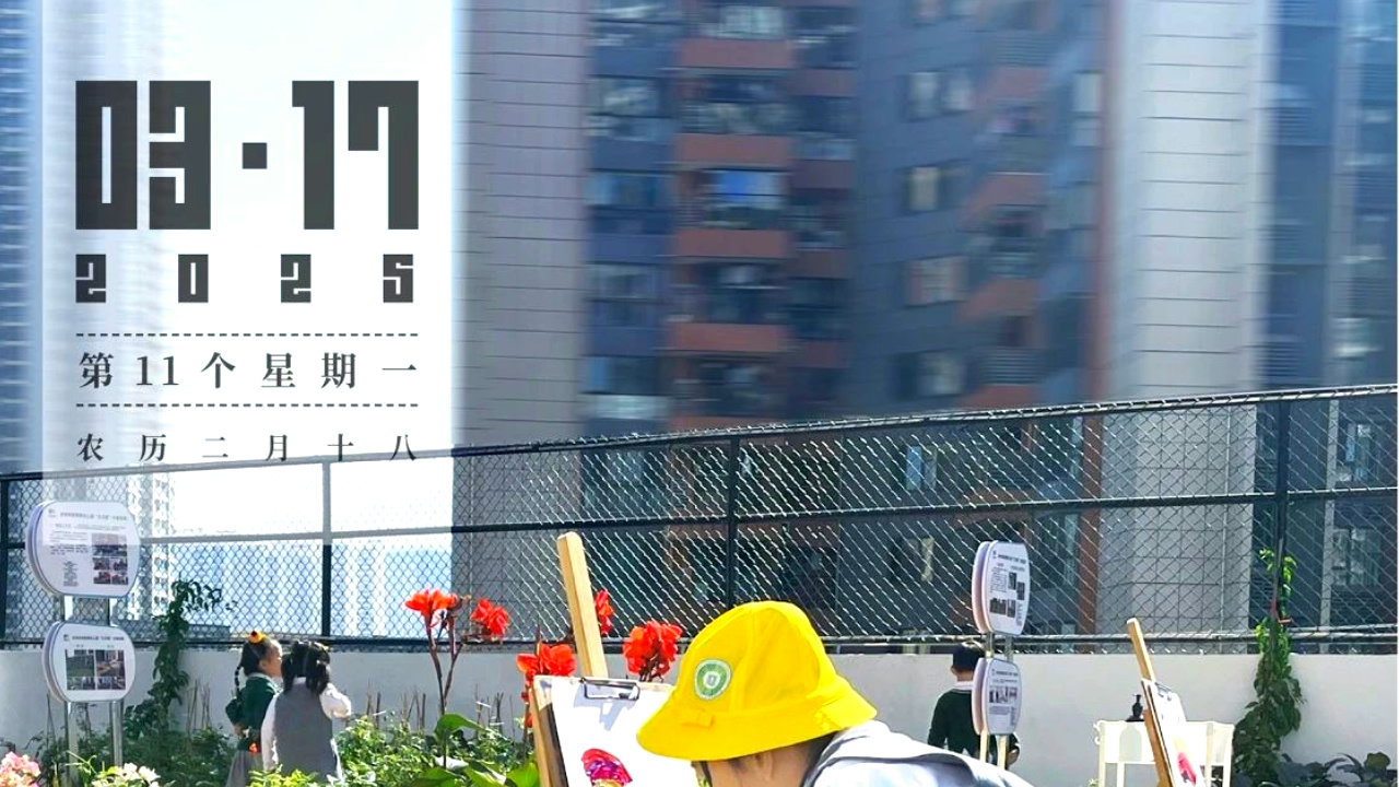 第11个星期一 | 共建花园