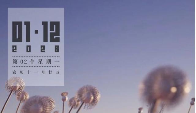 第2个星期一 | 机械蒲公英