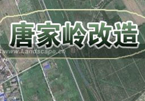 唐家岭改造
