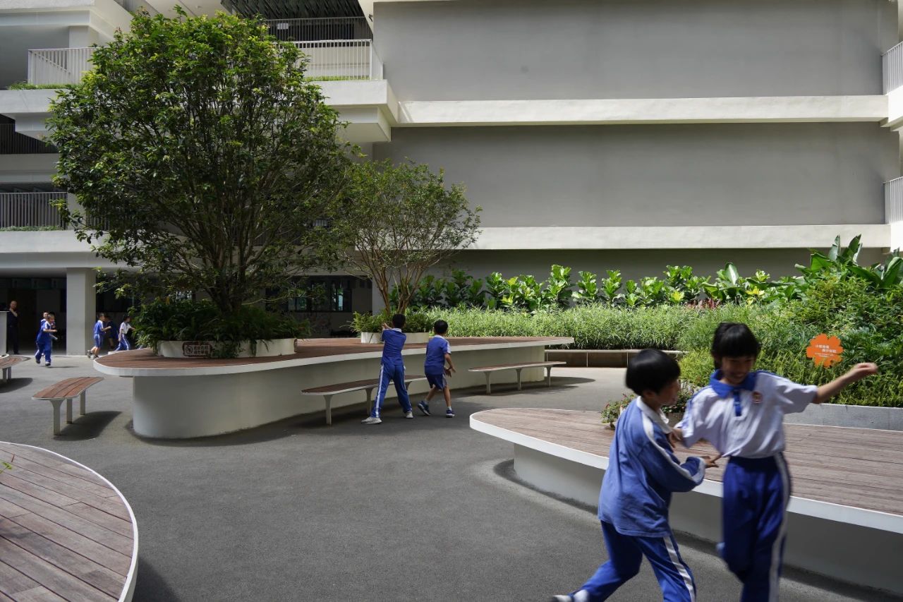 大小新作：华富实验学校“无界花园”