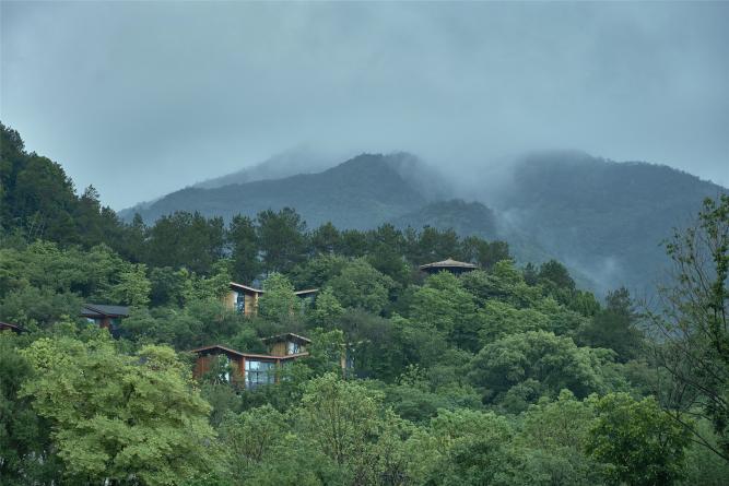 浙江建德富春开元芳草地乡村酒店建筑与景观设计 | 中国美术学院风景建筑设计研究总院