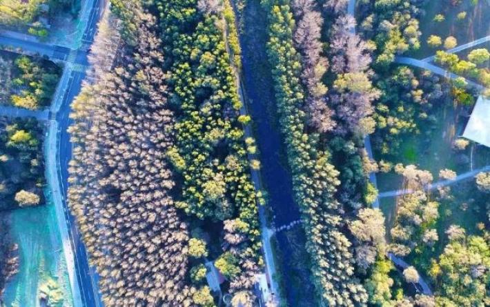 北京环境教育主题城市森林规划景观设计 | 中国林业科学研究院