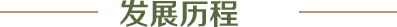发展历程