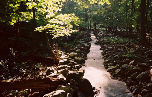 ��Ŀ����