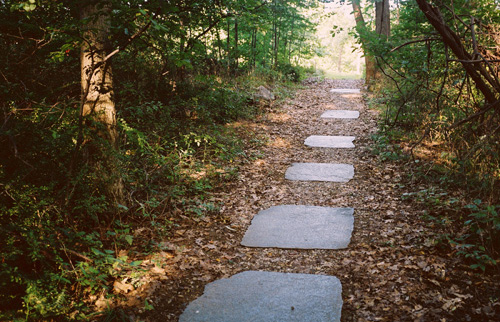 ��Ŀ����