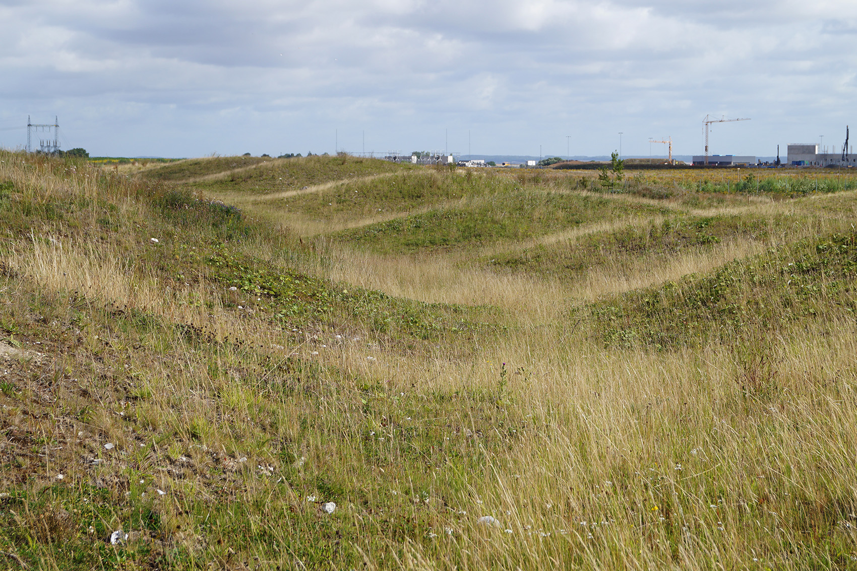 38-MAX-IV-Laboratory-Landscape-Snøhetta.jpg