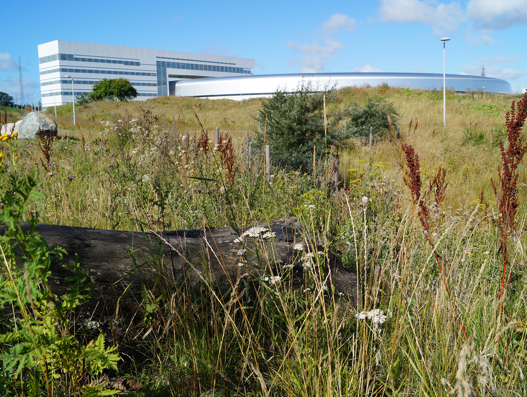 37-MAX-IV-Laboratory-Landscape-Snøhetta.jpg