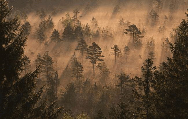 景观设计,景观设计公司