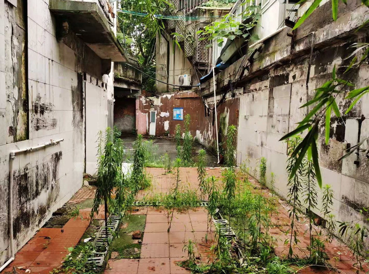 改造前的场地 ©周飏.jpg