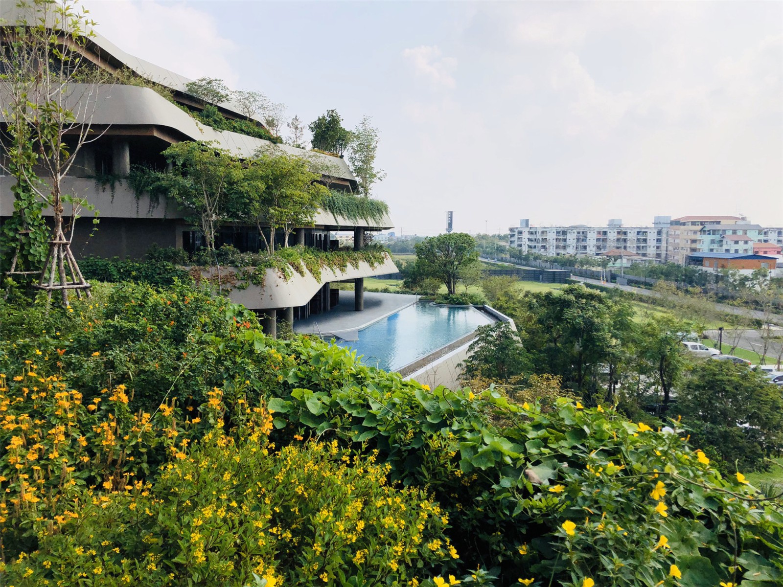 P04_Swimming pool at the 2nd floor of Jin Wellness Institute.jpg