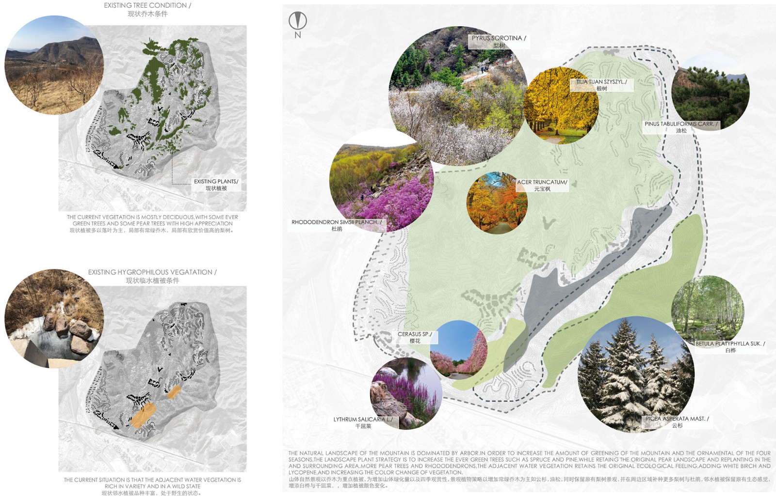 景观四季植被设计landscape planting design1.jpg