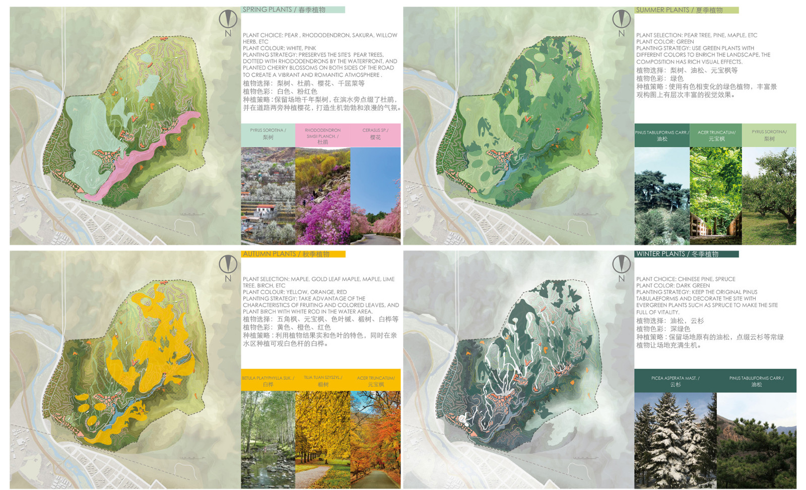 景观四季植被设计landscape planting design2.jpg