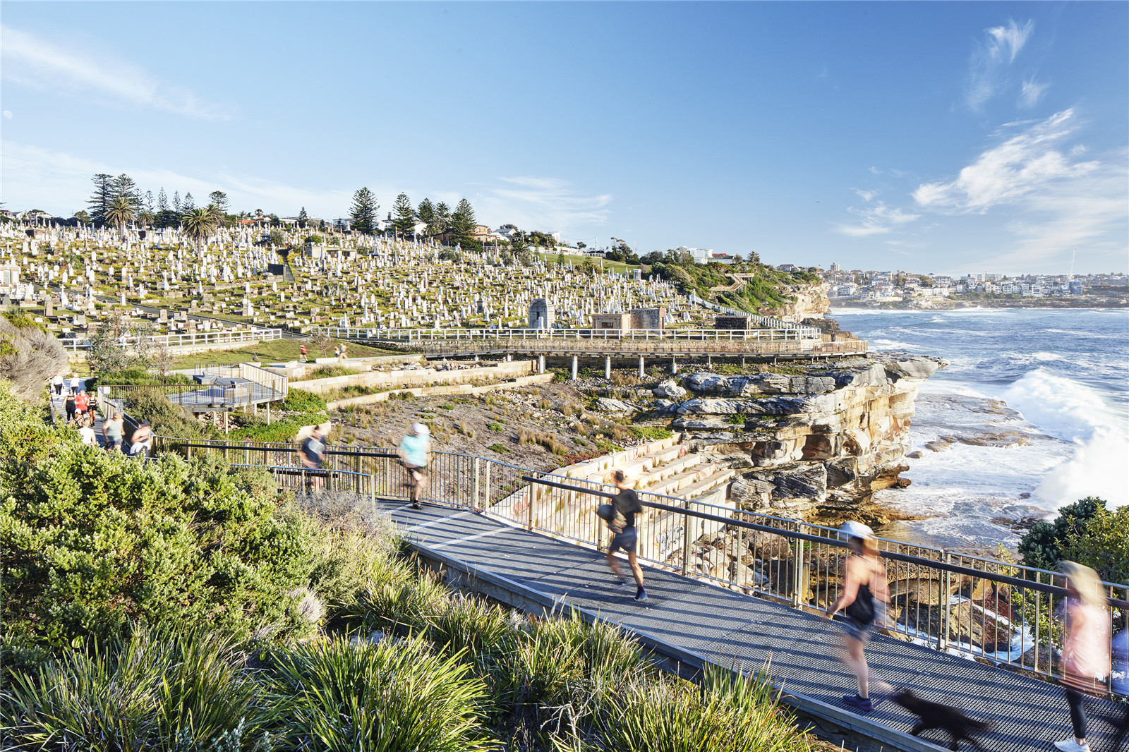 ASPECT BONDI BRONTE 2020 (c) FLORIAN GROEHN -5.jpg