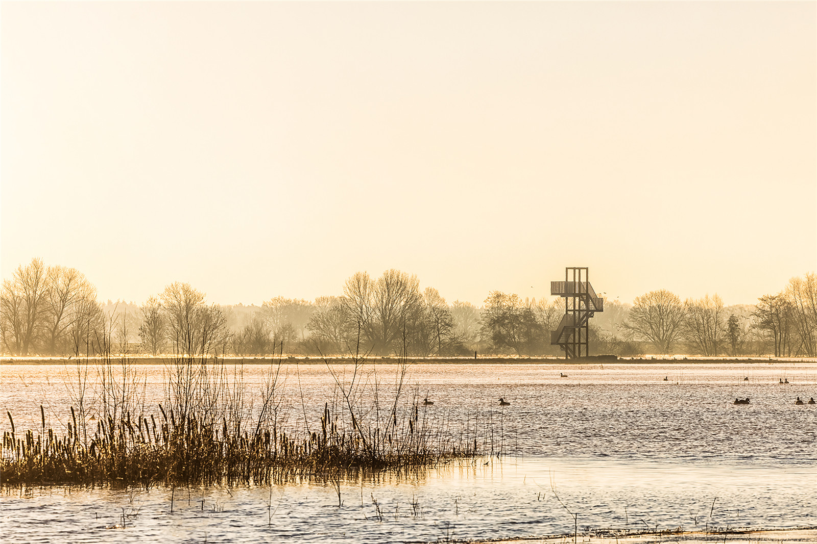 look out tower at high tide_foto paul poels.jpg