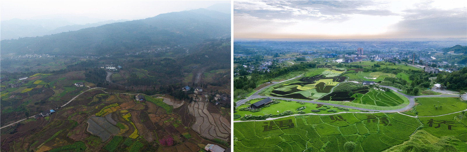08-前后稻田对比 ©乐道景观.jpg