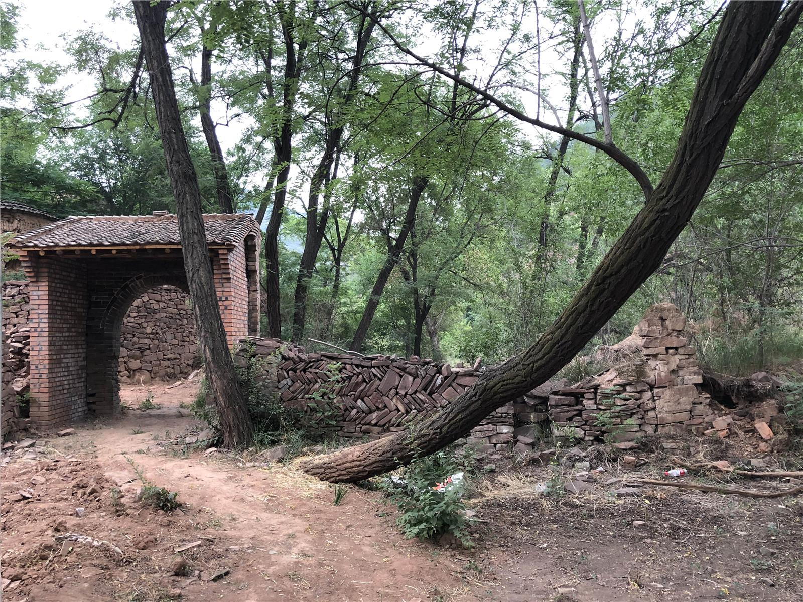 场地院落原貌 Original appearance of courtyard.jpg