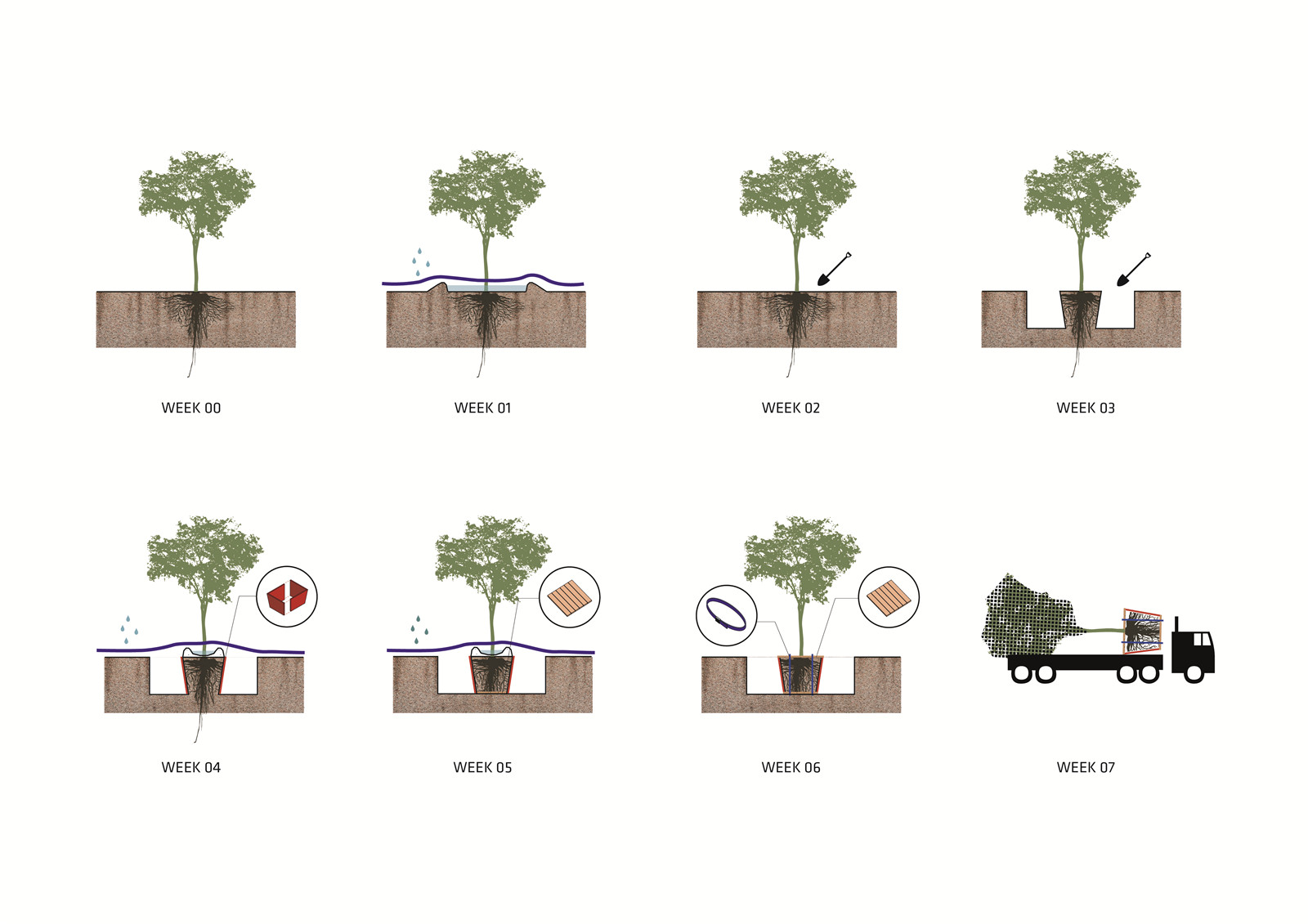 Al Fay Park Tree Moving Diagrams_SLA.jpg