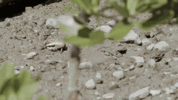 微信图片_20220815135634.gif