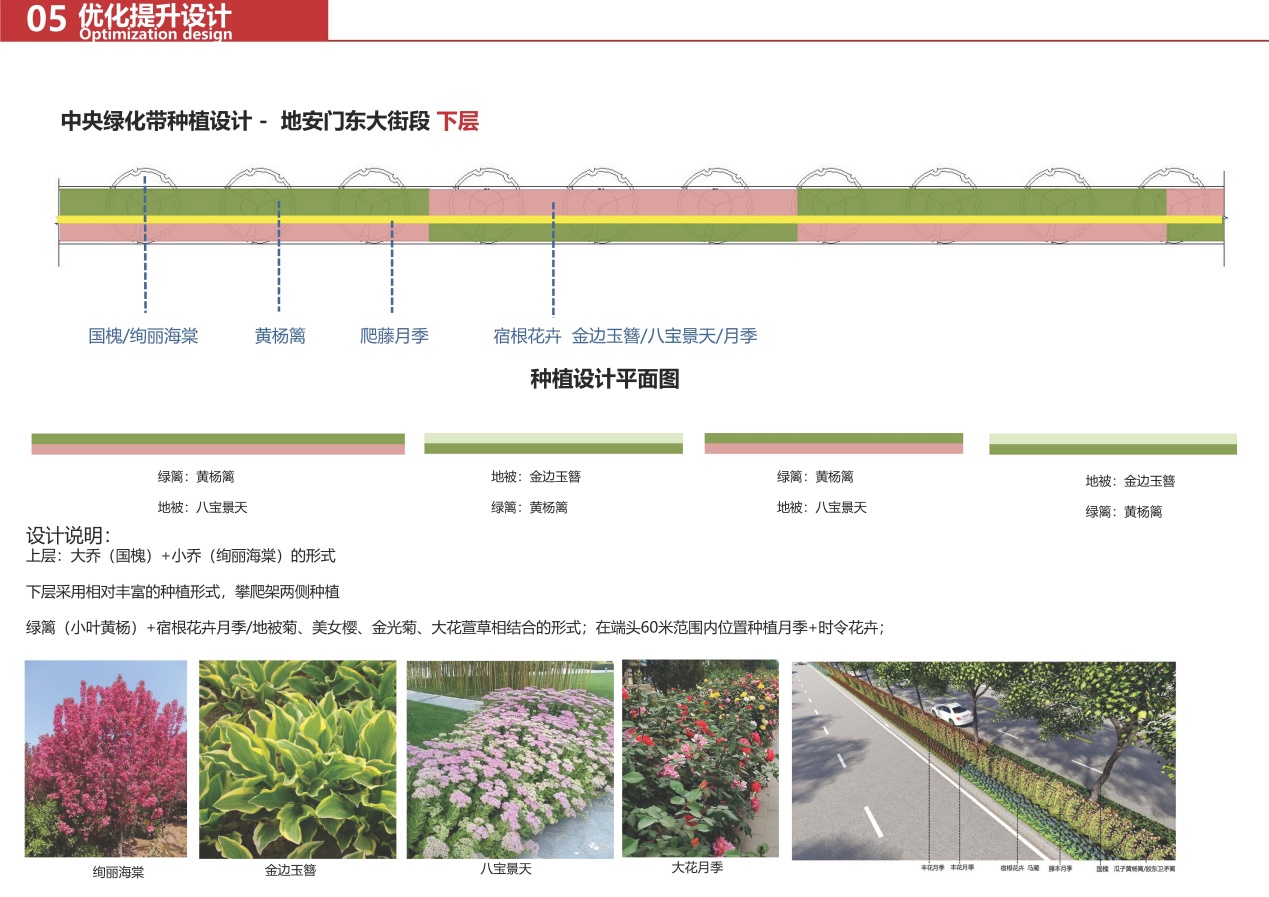 中央绿化带下层种植设计图.jpg