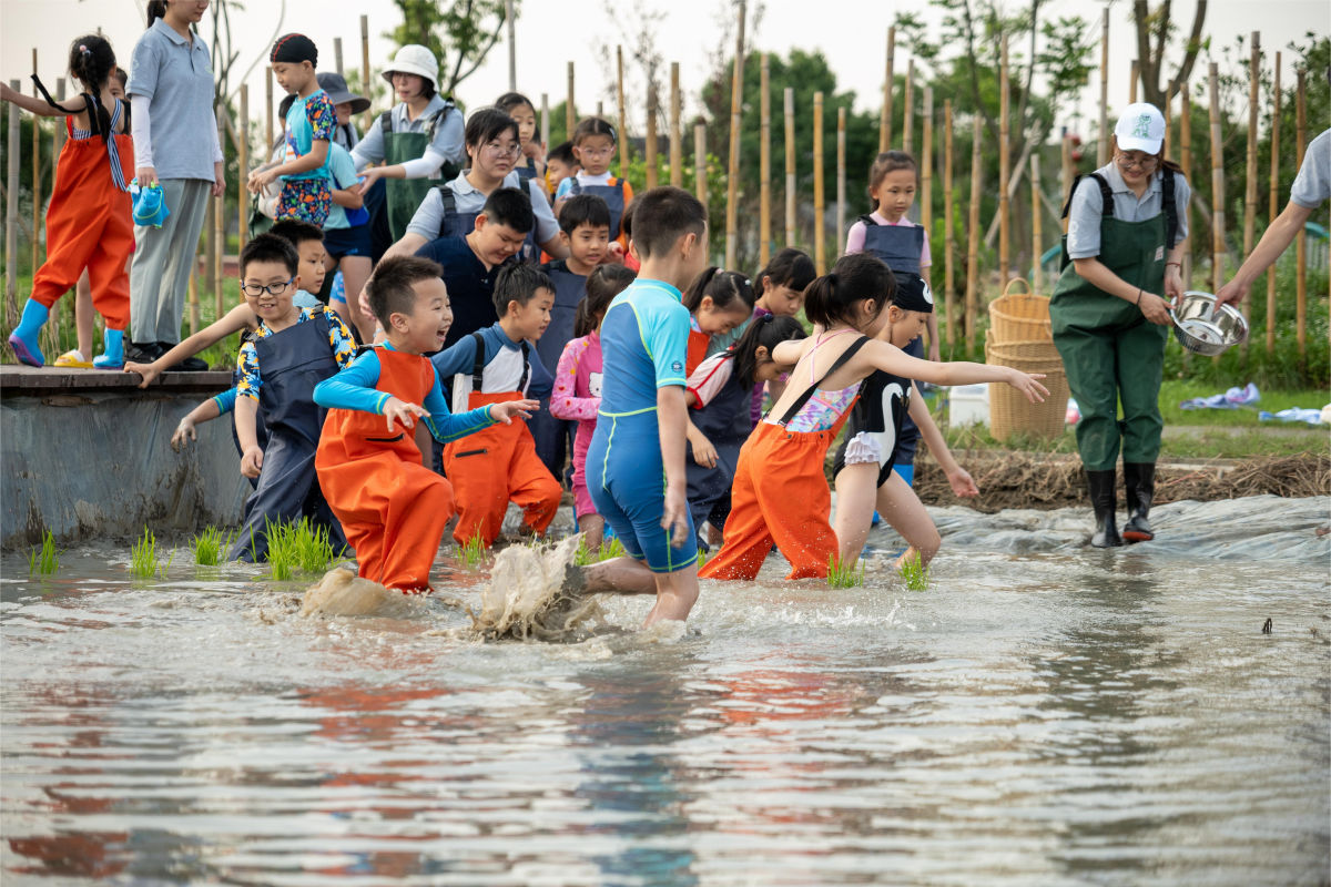 08-澥小白自然学校：沉浸式的乡村学习体验(1).png