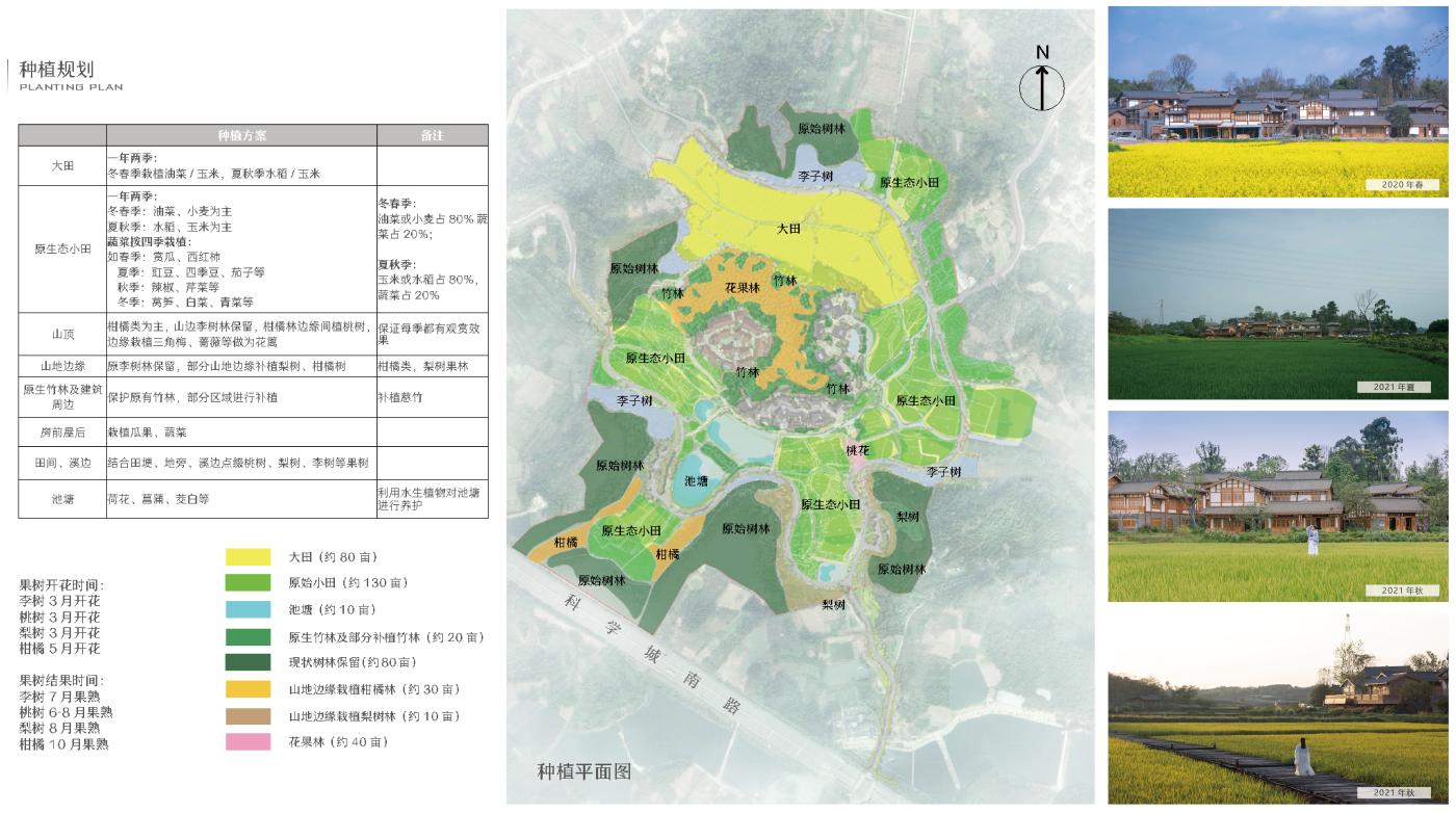 图16大田景观农作物规划(1).jpg