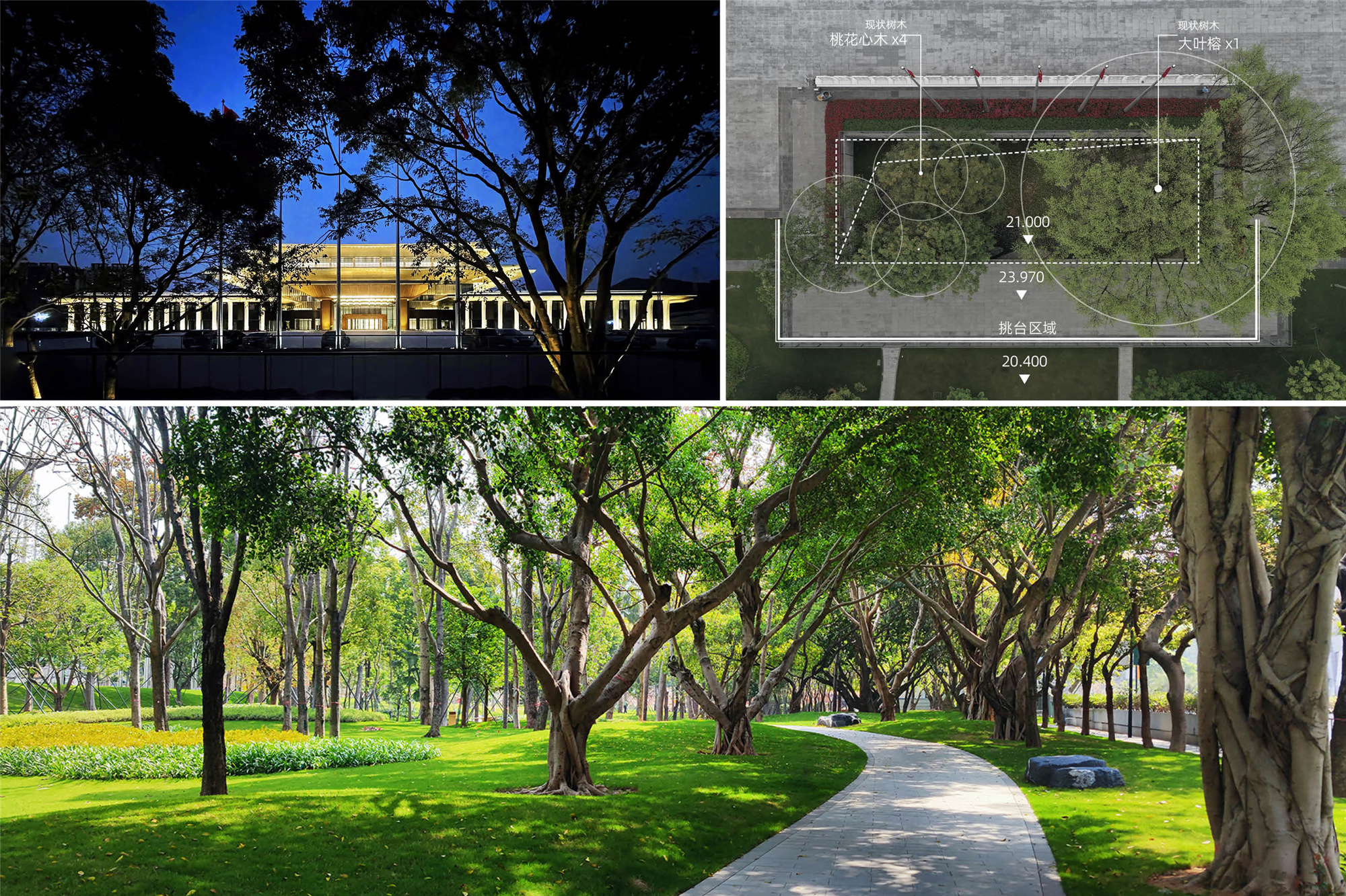 Preserving existing trees©超越视觉 ©华南理工大学建筑设计研究院有限公司.jpg