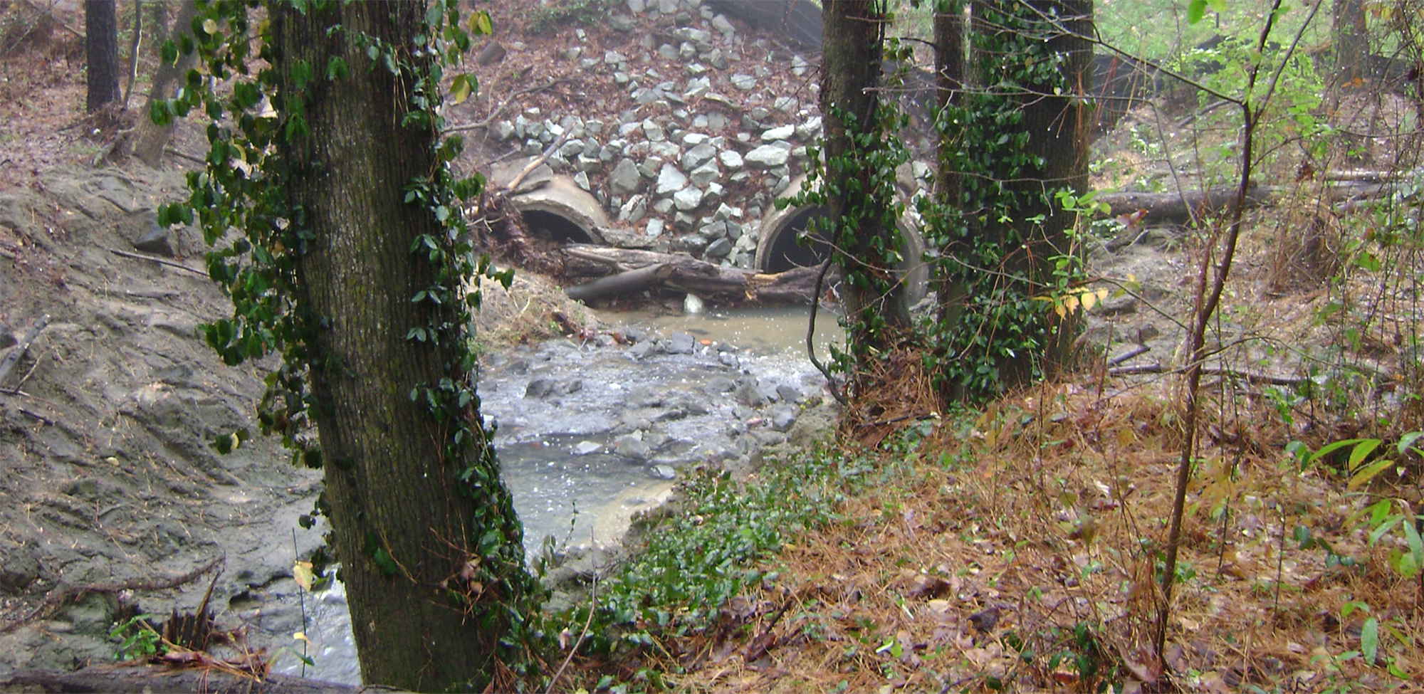 Duke University Water Reclamation Pond (2).jpg